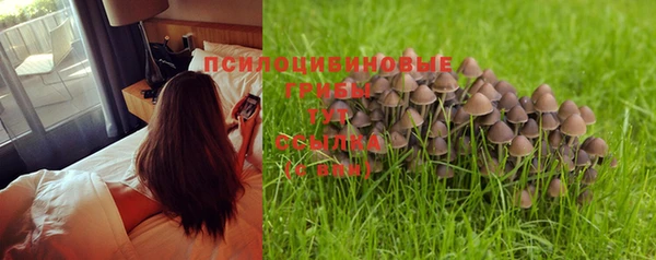 круглые Снежинск