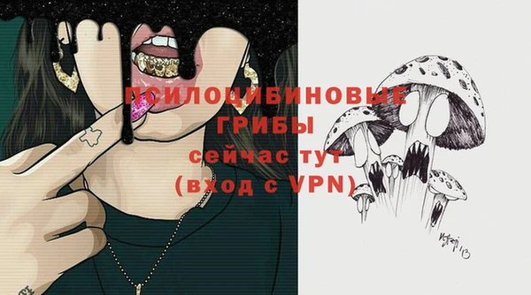 героин Богданович